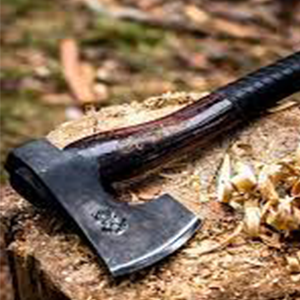 Forest, Bushcraft & Small axes